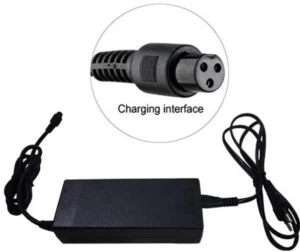 Top 10 Segway Charger